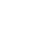Zoom Icon