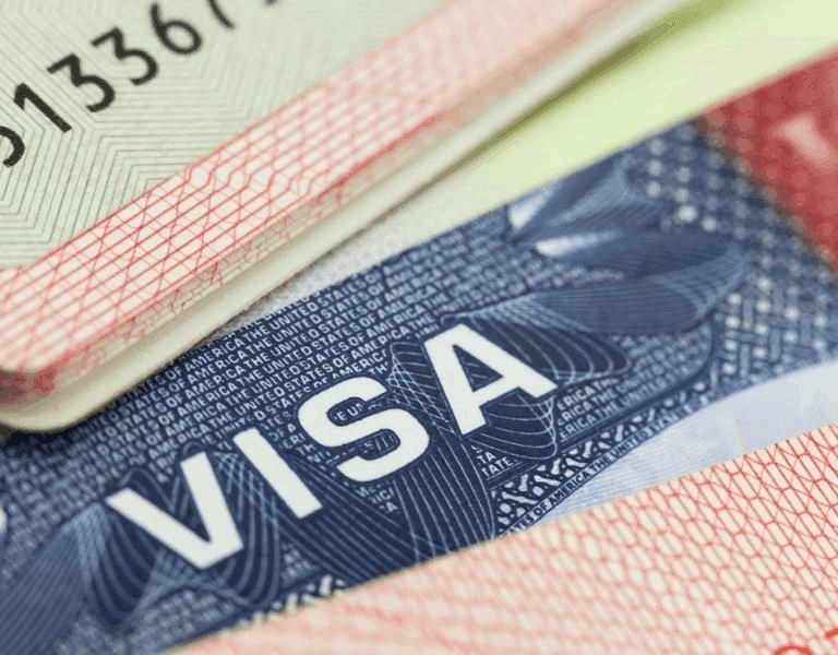 99.99% visa success rate